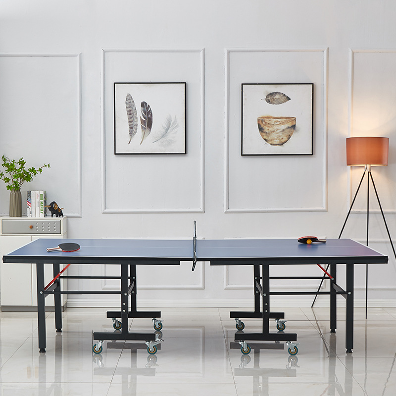 Foldable Indoor Table Tennis T - Table Tennis Folding Table review and price