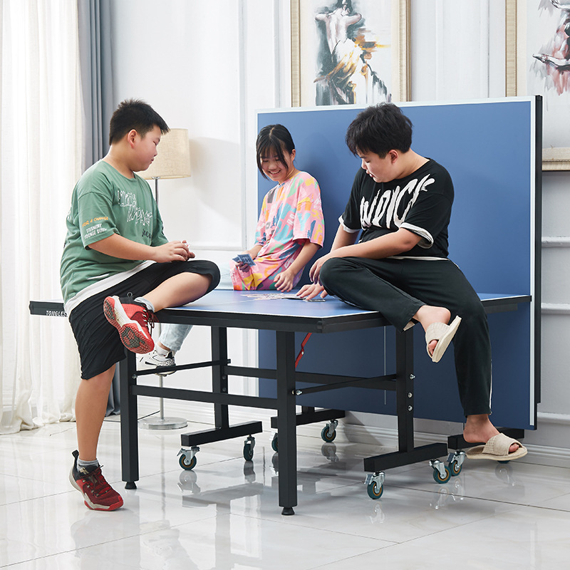 Foldable Indoor Table Tennis T - Table Tennis Folding Table review and price