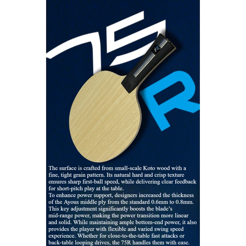SANWEI 75R 5+2 Outer H-GLC Tab - Table Tennis Blades review and price